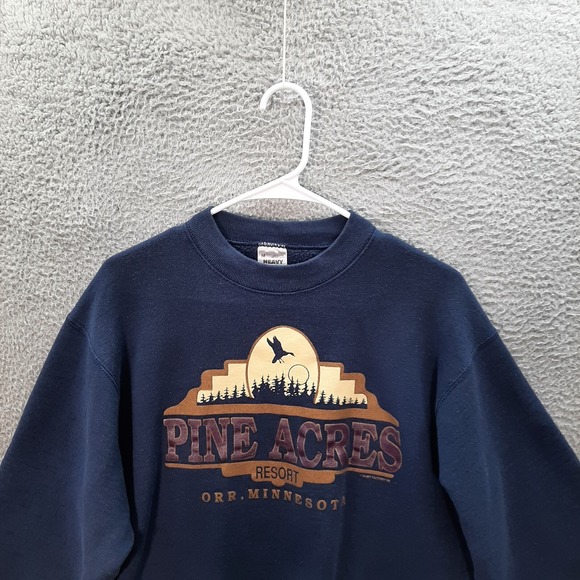 Vintage Fruit Of The Loom Sweatshirt Adult M Blue Crewneck Nature Grunge 1990s - Picture 7 of 8